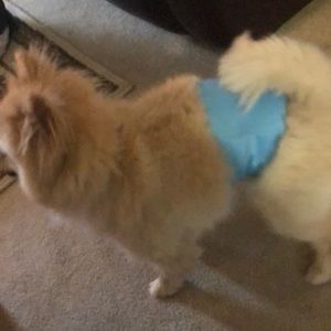 Meet your Posher, Liam